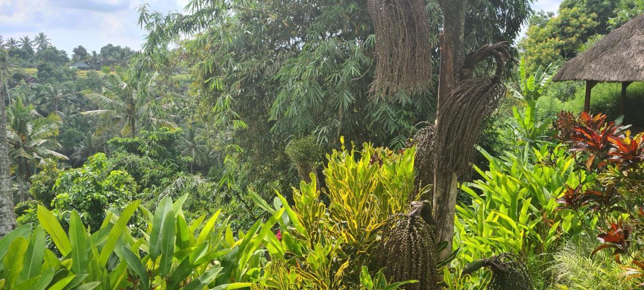 Rumah Sungai Villa Убуд Экстерьер фото