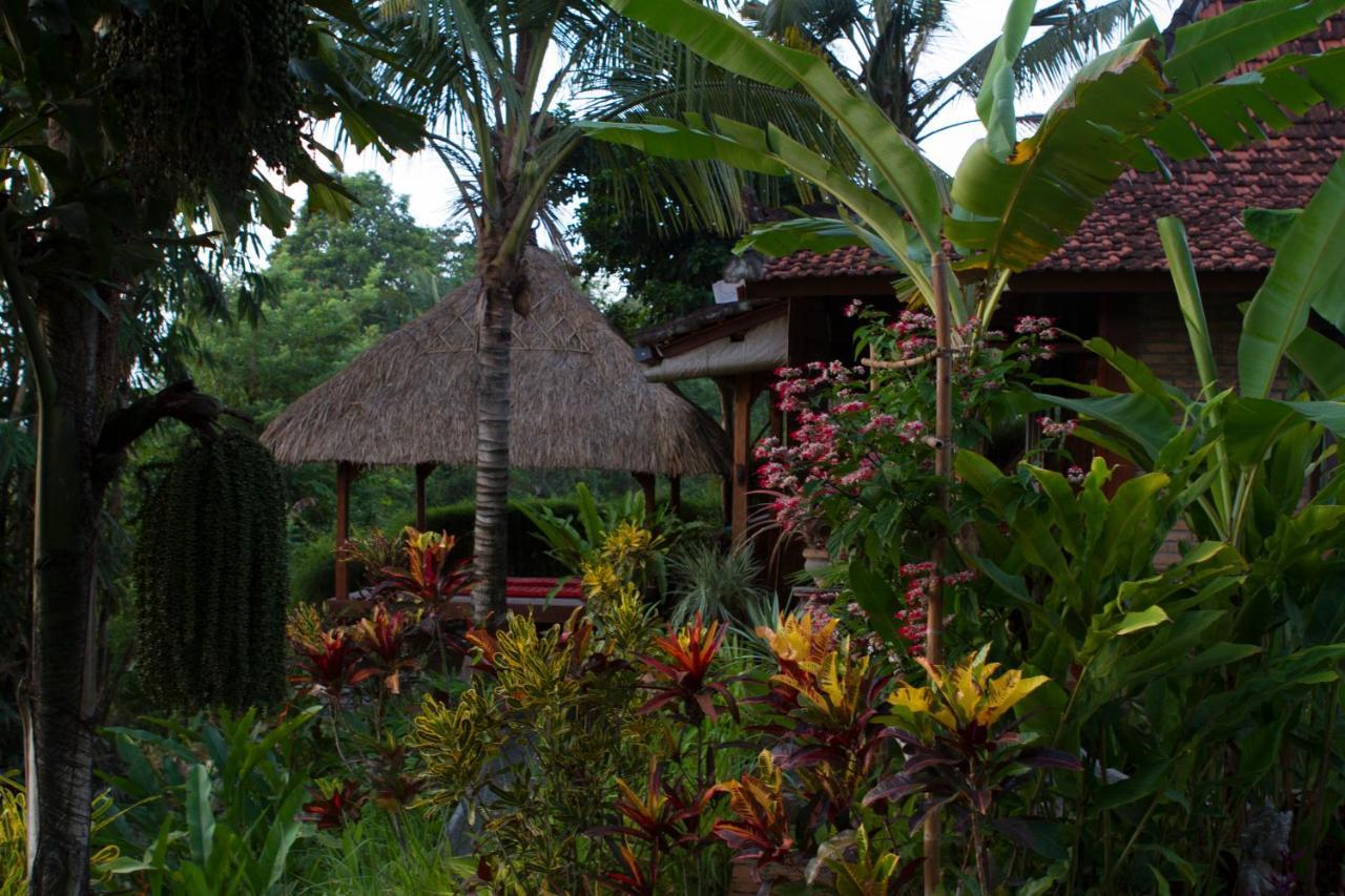 Rumah Sungai Villa Убуд Экстерьер фото