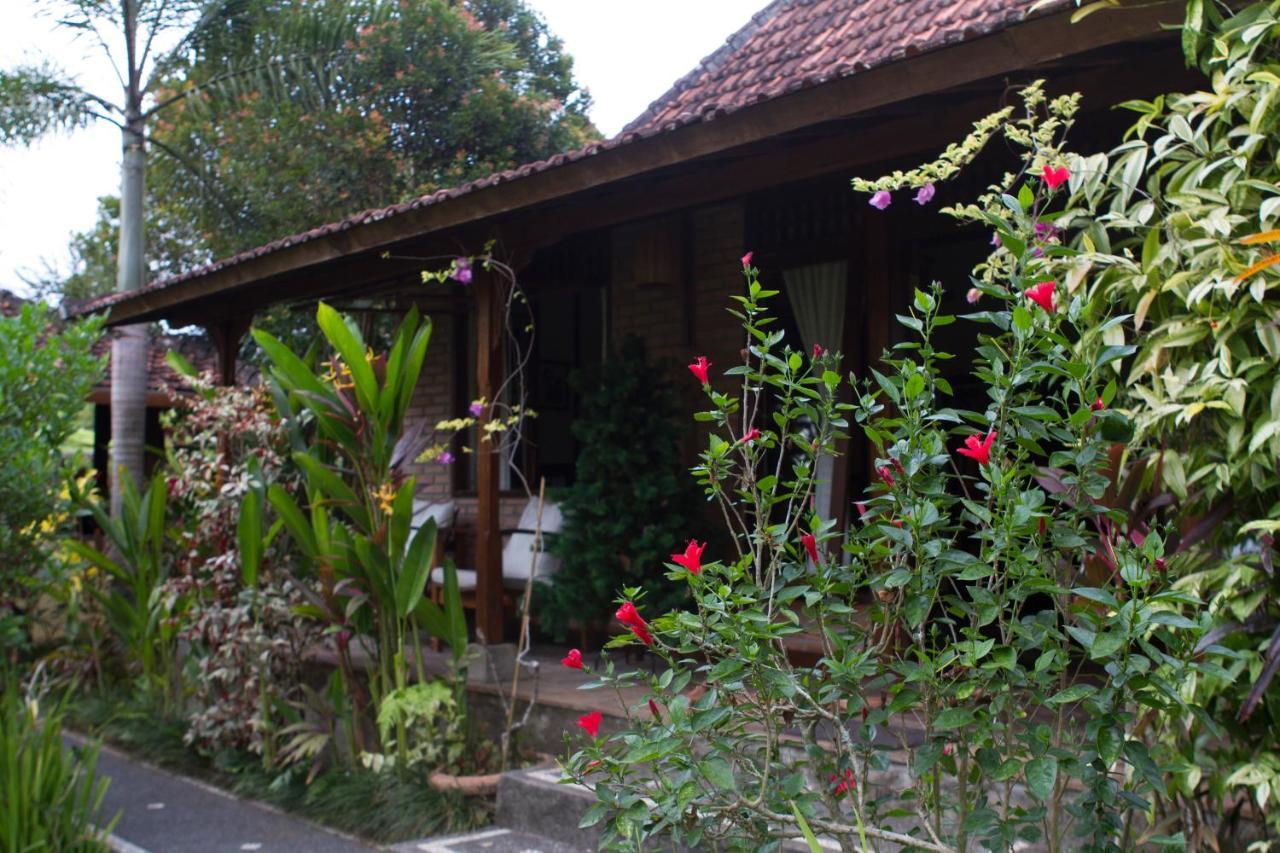 Rumah Sungai Villa Убуд Экстерьер фото