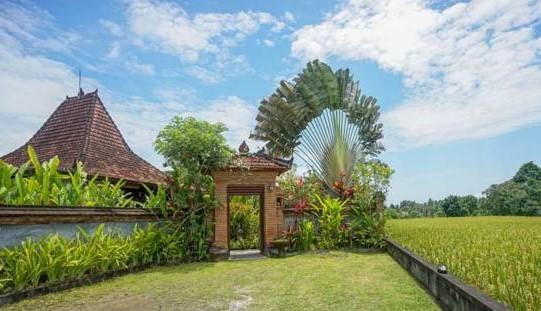 Rumah Sungai Villa Убуд Экстерьер фото