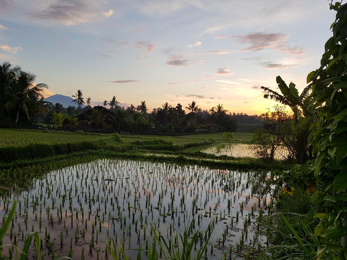 Rumah Sungai Villa Убуд Экстерьер фото
