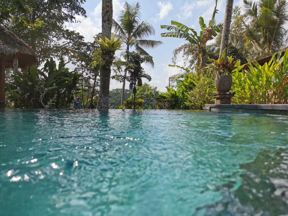 Rumah Sungai Villa Убуд Экстерьер фото
